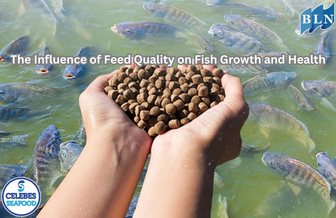 The Influence of Feed Quality on Fish Growth and Health